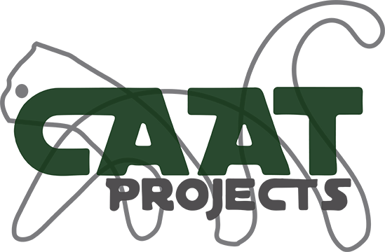 Stichting CAAT Projects